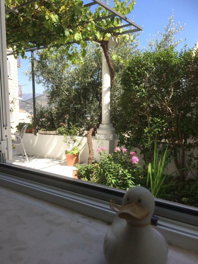 Apartman Vitis Dubrovnik Exterior photo